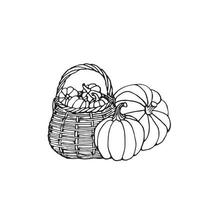 citrouilles noires et blanches dessinées à la main dans le panier. dessin animé doodle contour de légumes. symbole de la récolte d'automne et d'halloween. vecteur