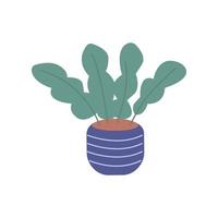 plante d'intérieur dans un vase en pot. déco cosy scandinave. vecteur