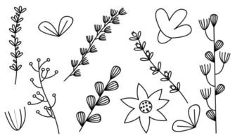 vecteur de doodle fleurs et branches dessinés à la main