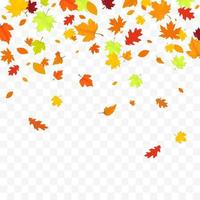 chute des feuilles d'automne isolé sur fond blanc vecteur