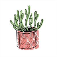 cactus dans des pots de fleurs télévision colorée illustration isolée o blanc vecteur