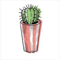 cactus dans des pots de fleurs télévision colorée illustration isolée o blanc vecteur