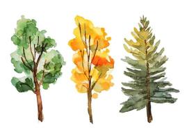 illustration aquarelle arbre vecteur