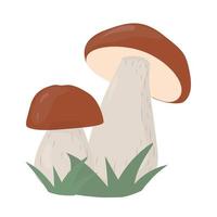 illustration plate de champignons bruns vecteur