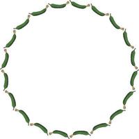 cadre rond avec concombre horizontal. couronne isolée sur fond blanc pour votre conception vecteur