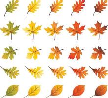 feuilles d'automne illustrations vectorielles vecteur