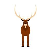 vue de face de l'icône d'illustration vectorielle elk. faune cerf mammifère art nature avec corne. andouiller tête dessin animé forêt faune zoo vecteur
