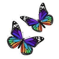 ensemble de deux papillons arc-en-ciel isolés sur fond blanc. graphiques vectoriels. vecteur