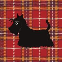 dessin animé terrier écossais noir sur fond de tartan. terrier écossais en style cartoon. illustration vectorielle vecteur