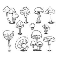 différents champignons dessinés dans un style doodle. illustration d'art en ligne noir et blanc dans un style dessiné à la main. les images sont idéales pour être utilisées comme élément de conception pour les impressions, bannières, affiches, autocollants, étiquettes vecteur