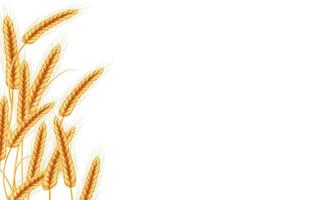 illustration vectorielle de blé. vecteur