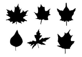 illustration vectorielle de formes de feuilles. feuilles d'érable et d'autres arbres. conception de silhouette de feuillage pour autocollant, pochoir, carnet de couleurs. vecteur