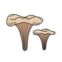 champignon comestible mignon dans un style doodle. ingrédients pour cuisiner, salades. récolte des plantes d'automne. illustration de main de vecteur