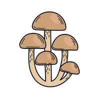 champignon comestible mignon dans un style doodle. ingrédients pour cuisiner, salades. récolte des plantes d'automne. illustration de main de vecteur