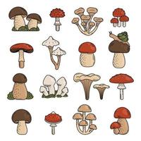 ensemble de champignons de griffonnage mignons. champignons comestibles et vénéneux, tue-mouche, champignon vénéneux, cèpes. illustration de main de vecteur