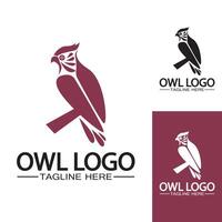 modèle de vecteur de logo hibou