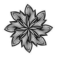 fleurs de mandala aster florales, dessinées à la main dans un style doodle isolé sur fond blanc. page de coloriage pour adultes et enfants, décoration de salle de jeux pour enfants ou carte de voeux. chrysanthème, lotus. vecteur