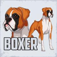 Boxer de race de chien puissant dessiné à la main debout en pleine longueur isolé sur fond blanc vecteur