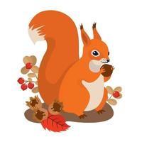 écureuil aux noisettes et canneberges dans la forêt d'automne. vecteur