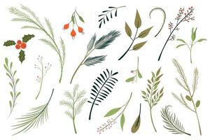 ensemble d'illustration vectorielle de branches de sapin. arbre de noël, houx, gui, ensemble de verdure d'hiver vecteur