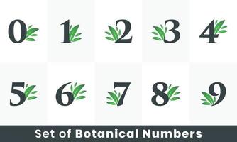 ensemble de logo de numéro de feuille botanique. logo de nombre naturel vert défini de a à z vecteur