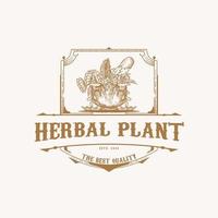 logo de plante à base de plantes avec style vintage vecteur