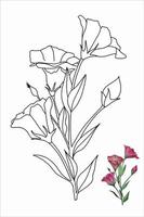 illustration de fleur d'eustoma, lisianthus en style doodle pour livre de coloriage, pages à colorier.ai vecteur