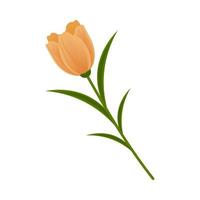 tige de fleur nature vecteur