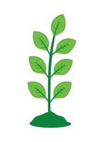 icône de feuillage des plantes vecteur