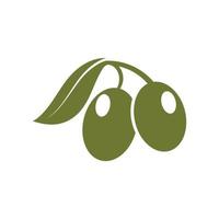 modèle de conception olive icône vector illustration