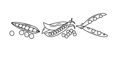 illustration vectorielle de trois pois différents doodle pour le web et l'emballage. vecteur