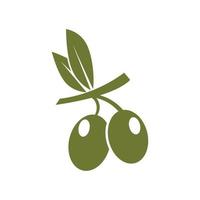 modèle de conception olive icône vector illustration