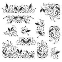 illustration vectorielle. éléments avec un motif floral gracieux. vecteur