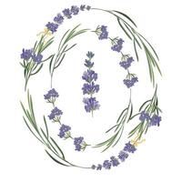 définir le modèle de beaux cadres floraux de lavande violette dans un style aquarelle vectoriel isolé sur fond blanc pour la conception décorative, carte de mariage, invitation, écorcheur de voyage. illustration botanique