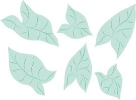 ensemble de feuilles de plantes tropicales vecteur