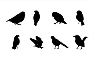 collection d'illustrations de silhouettes d'animaux d'oiseaux vecteur