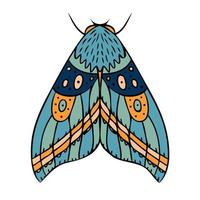 papillon de nuit coloré, papillon de nuit. illustration dessinée à la main. vecteur