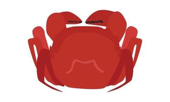 clipart de crabe poilu bouilli pour le concept du festival de la mi-automne. illustration de conception de vecteur de crabe poilu chinois rouge simple isolé sur fond blanc. festival de la lune ou festival du gâteau de lune nourriture au crabe poilu