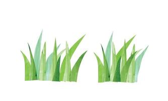 illustration de peinture aquarelle herbe verte simple isolée sur fond blanc. fond floral clipart dessiné à la main. dessin d'herbe de jardin de dessin animé vecteur