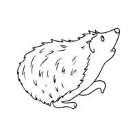 monochrome mignon petit hérisson en levant, vue latérale, illustration vectorielle en style cartoon sur fond blanc vecteur