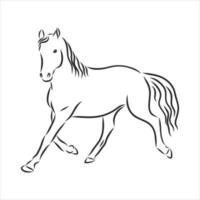 croquis de vecteur de cheval