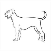 croquis de vecteur de chien