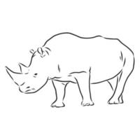 croquis de vecteur de rhinocéros