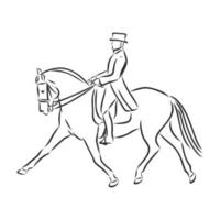 croquis de vecteur de formation de cheval