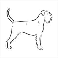 croquis de vecteur de chien