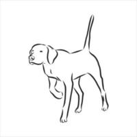 croquis de vecteur de chien