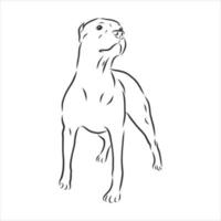 croquis de vecteur de chien