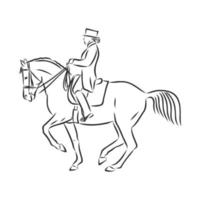 croquis de vecteur de formation de cheval