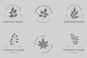 feuille gris foncé minimaliste feuilles nature logo collection style gris pastel. vecteur