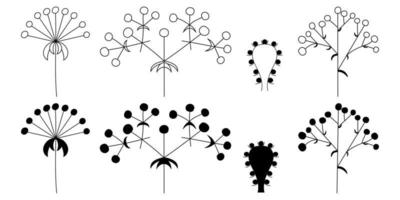 ensemble d'inflorescences florales dans les plantes sur une tige, silhouette, vecteur isolé